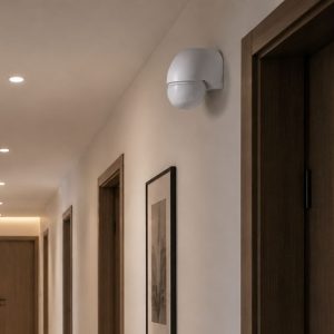 MOTION & PRESENCE DETECTORS