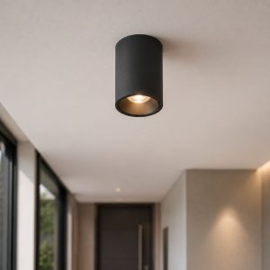 CELING LIGHTS