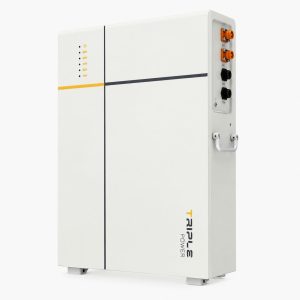 T-BAT-SYS-LV D53 (5.3 kWh)